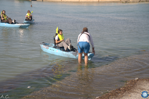 Image73