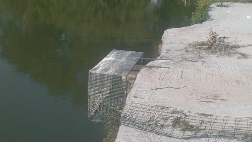 lago cerulli (27)