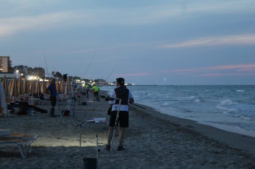 IMG 4854