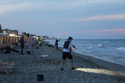 IMG 4855