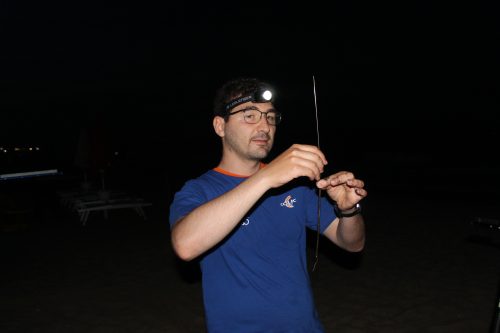 IMG 4883
