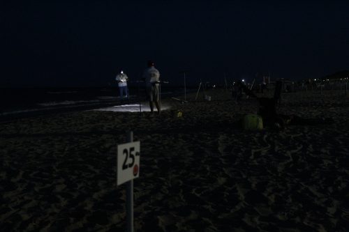 IMG 4884