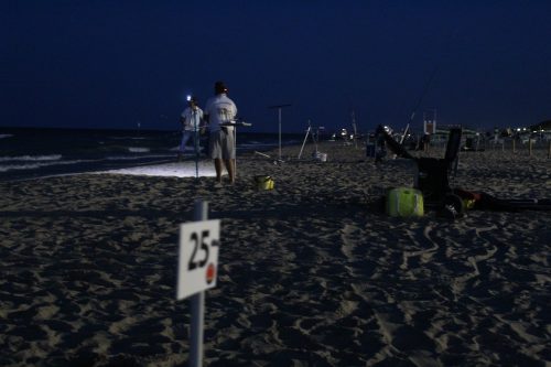 IMG 4885