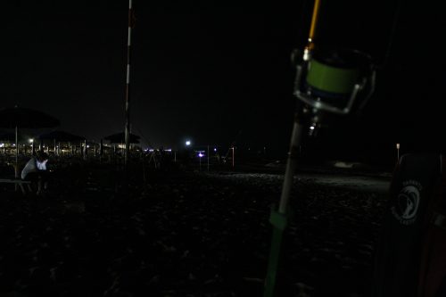 IMG 4933