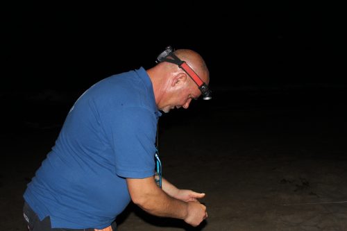 IMG 4934